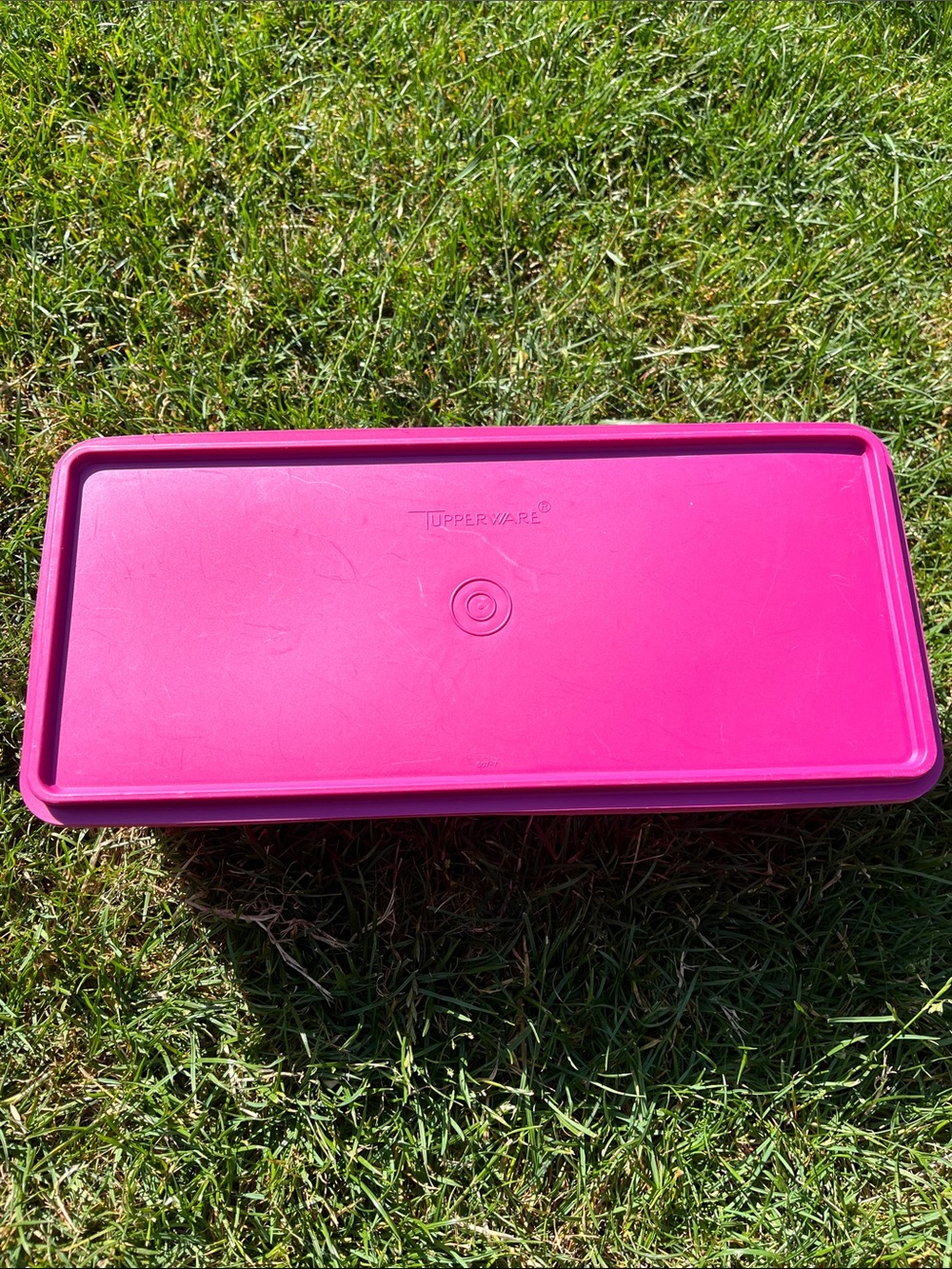 Tupperware Storage Bin